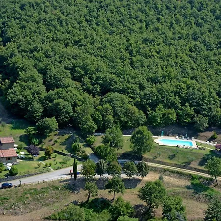 In Esclusiva - Pugnano Alto *